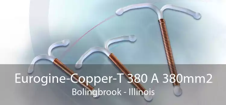 Eurogine-Copper-T 380 A 380mm2 Bolingbrook - Illinois