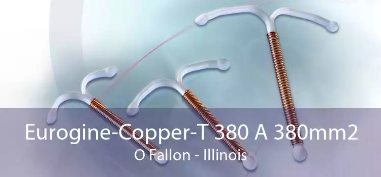 Eurogine-Copper-T 380 A 380mm2 O Fallon - Illinois